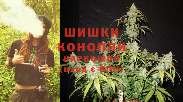 дживик Аркадак